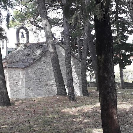 Apartment Perović Baška Voda Buitenkant foto