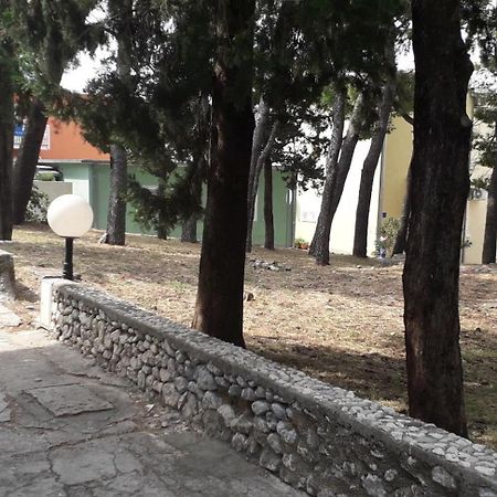 Apartment Perović Baška Voda Buitenkant foto